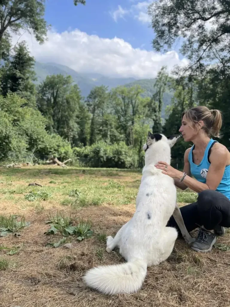 Femme massant un chien de traîneau blanc dans un pré en montagne