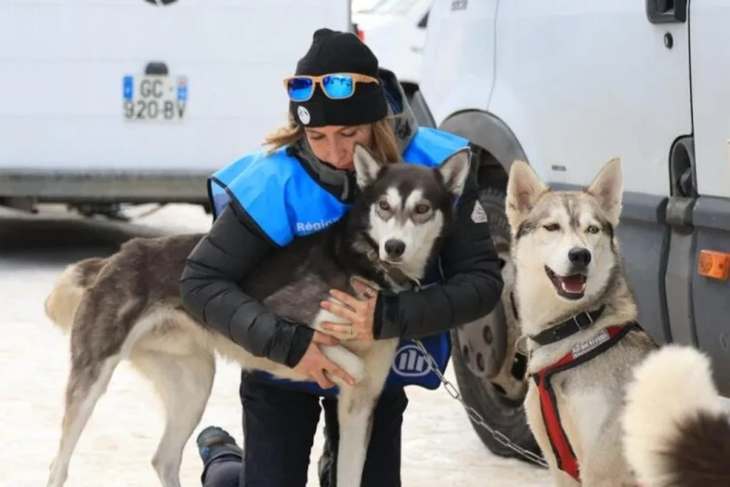 Femme enlaçant un husky à côté d'un autre chien de traîneau en harnais