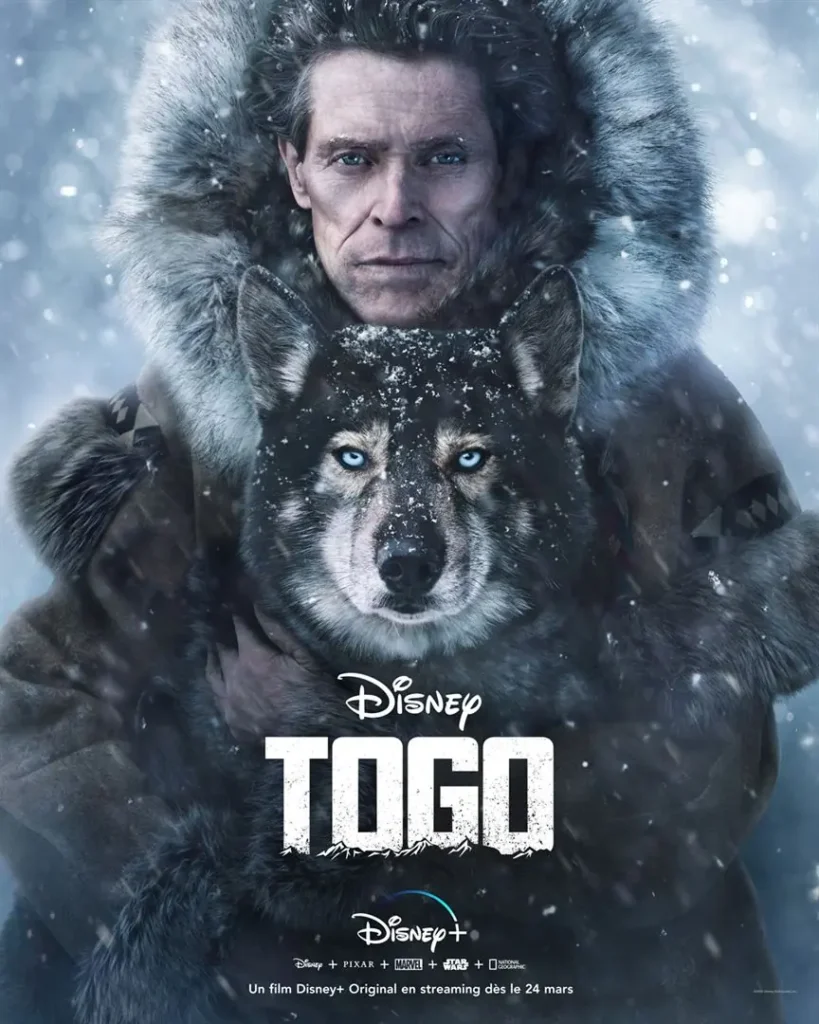 Affiche du film Togo de Disney avec Willem Dafoe et un husky de Sibérie